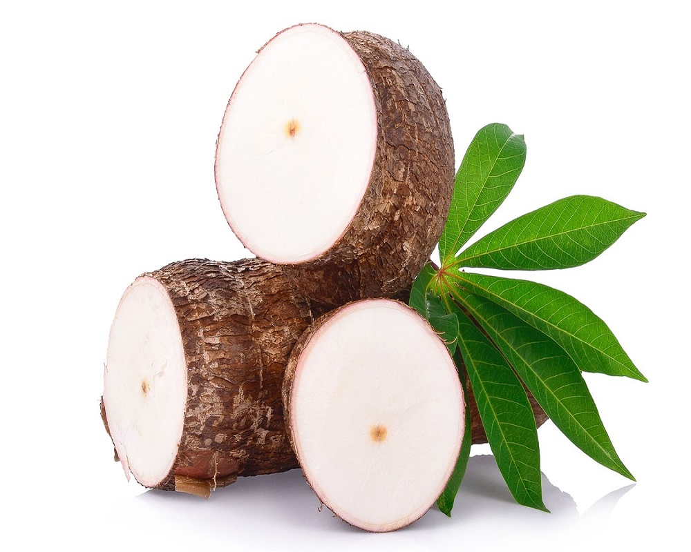 Cassava